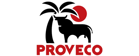 Gestión Estrategica